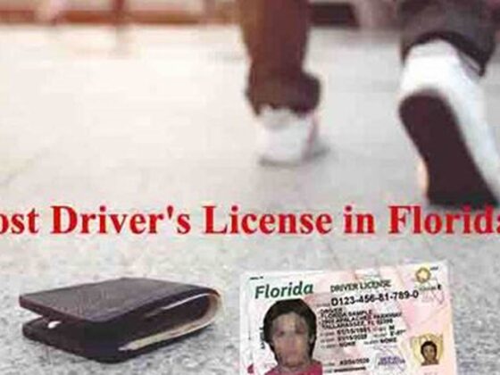 Lost Your Driver’s License in Florida? Here’s How to Replace It Fast