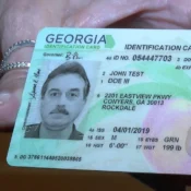 renew my georgia driver's license